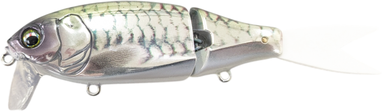Eisvogel Petit Slowth 110