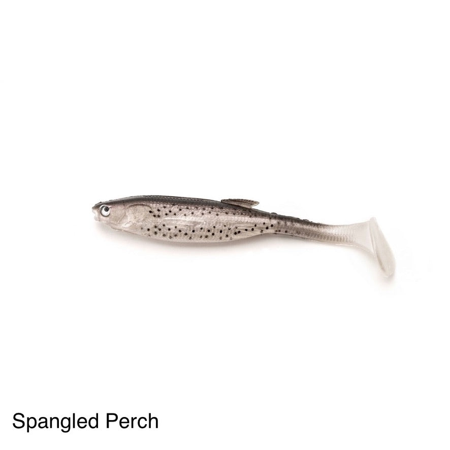 Castaic Jerky J Swim