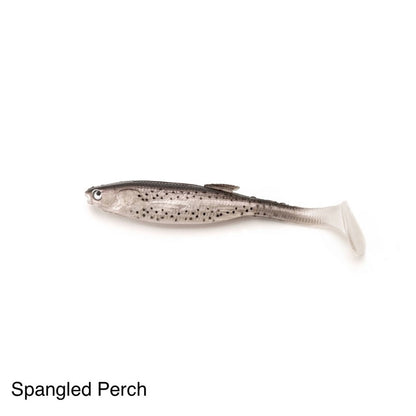 Castaic Jerky J Swim