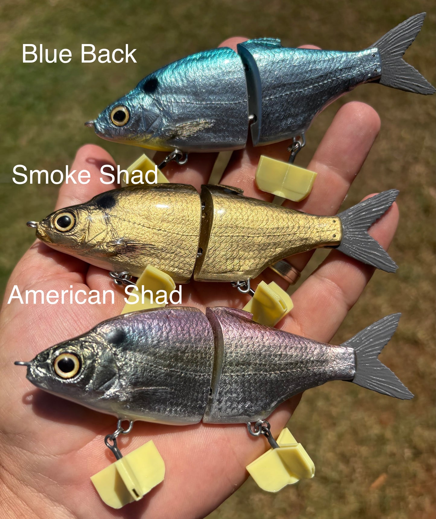 Shad Junior - Mr Zorba