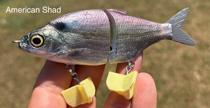 Shad Junior - Mr Zorba