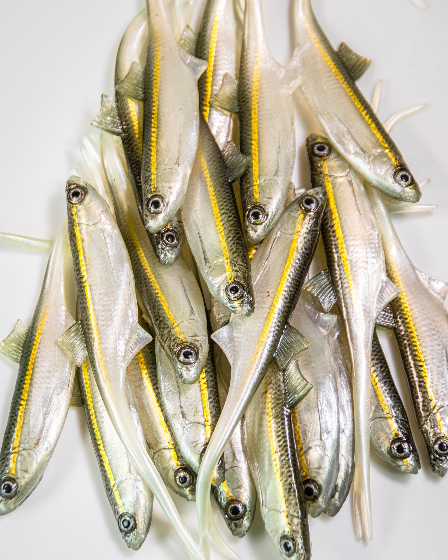 Angy Lures - Bleak V-Tail