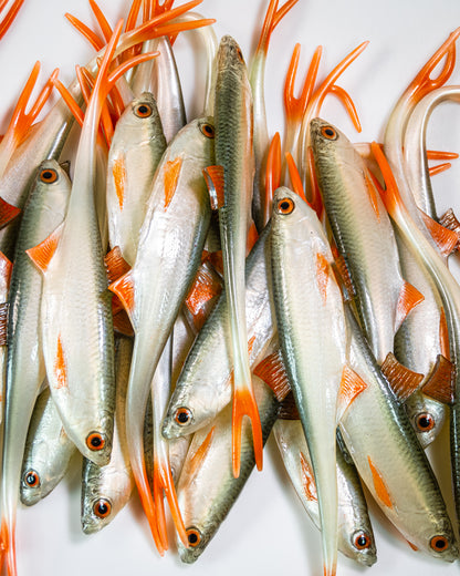 Angy Lures - Bleak V-Tail