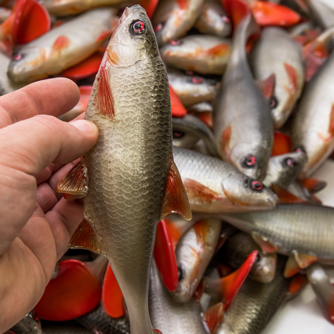 Angry Lures - Roach 22cm