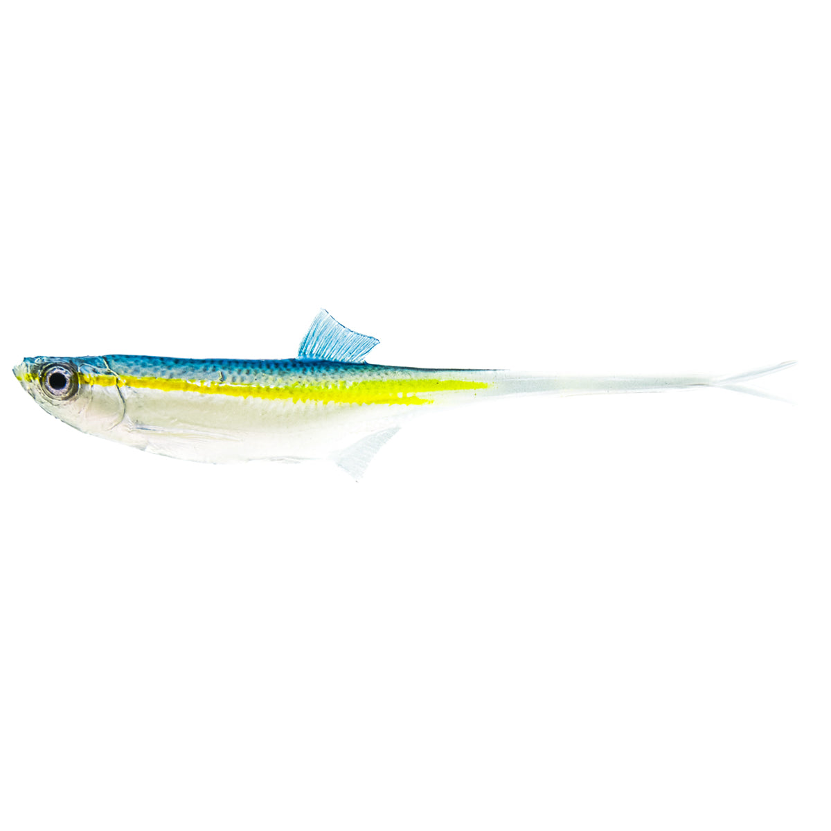 Angy Lures - Bleak V-Tail