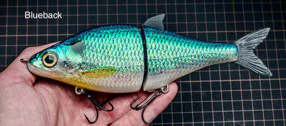 Whitefish - Mr Zorba