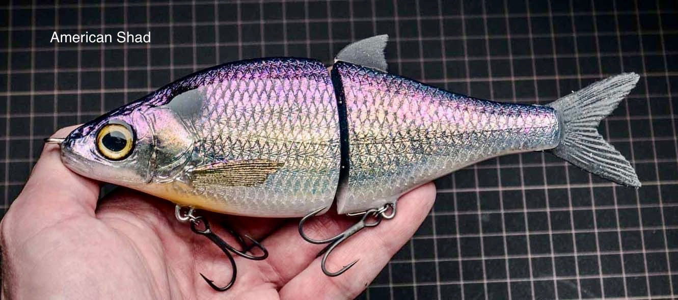 Whitefish - Mr Zorba